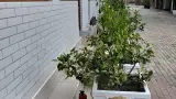Отель «Черноморец», п. Лазаревское