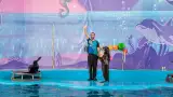 Дельфинарий «Морская звезда»