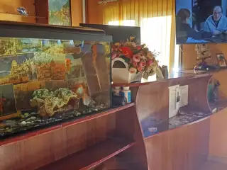 Гостевой дом «ЧЕРНОМОРЕЦ», п. Лазаревское